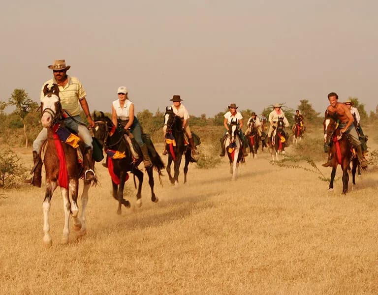 Horse Riding in Jawai