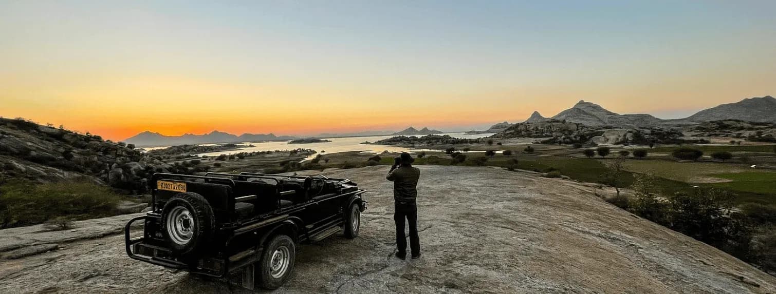 Sunset Leopard Safari