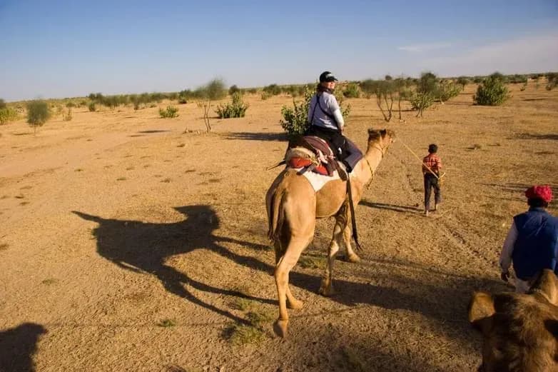 Camel Riding in jawai