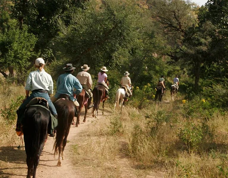 Horse Riding in Jawai