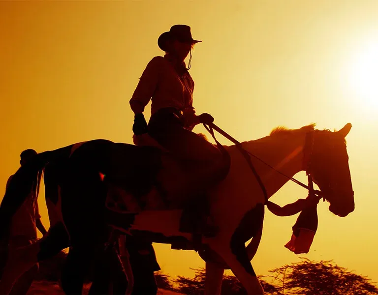 Horse Riding in Jawai